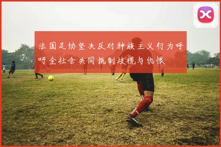 法国足协坚决反对种族主义行为呼吁全社会共同抵制歧视与仇恨