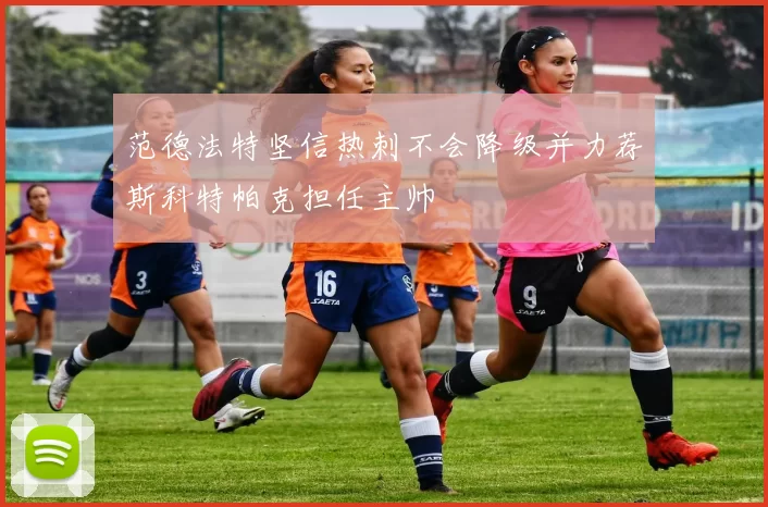 范德法特坚信热刺不会降级并力荐斯科特帕克担任主帅