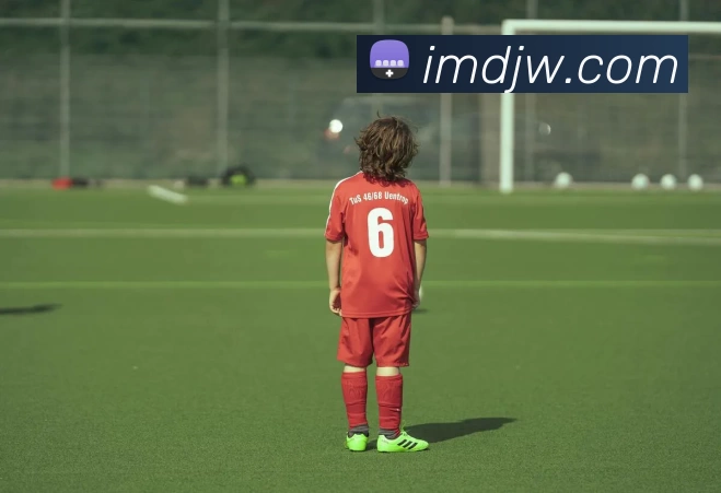 App Interface Preview