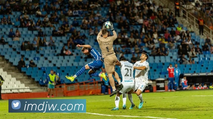 im电竞官网APP 封面图